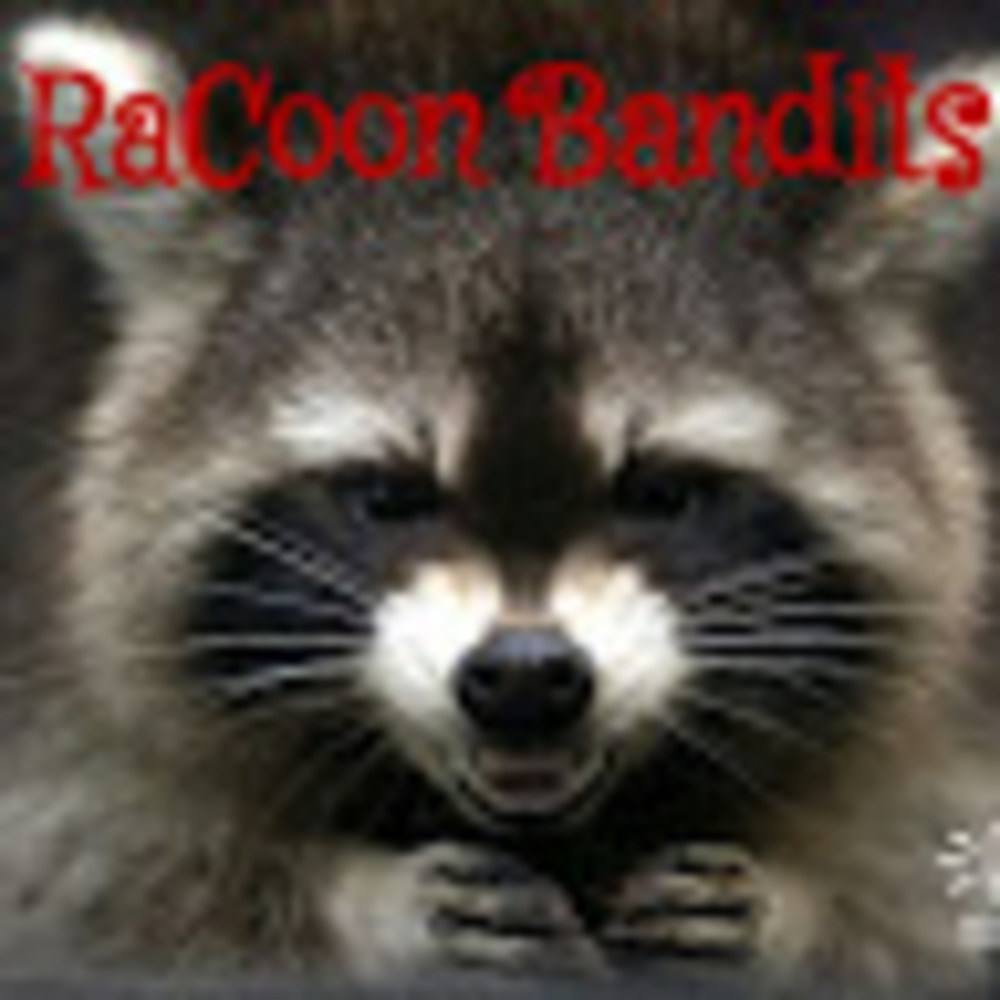 Meet your Posher, Ark